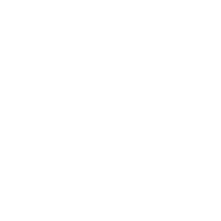 Blink Blank